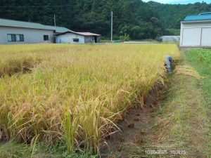 先ずは田んぼに入りやすくする！