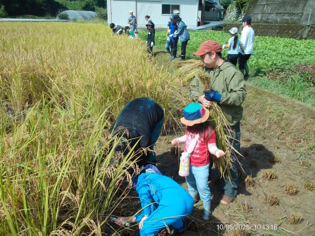 炊きたて羽釜食堂美味しい＆楽しい・おもしろい稲刈り体験2025-10月　