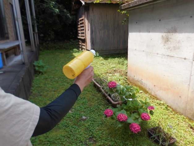 夏休みに向けた秘密兵器を試作中!