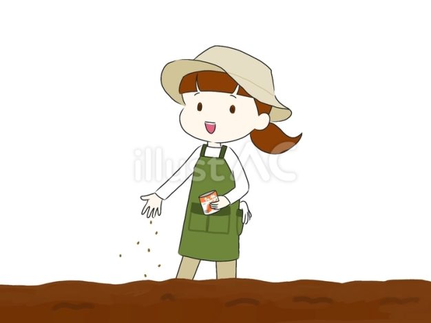 【おおきくな～れ】コスモスの種まきを行いました。